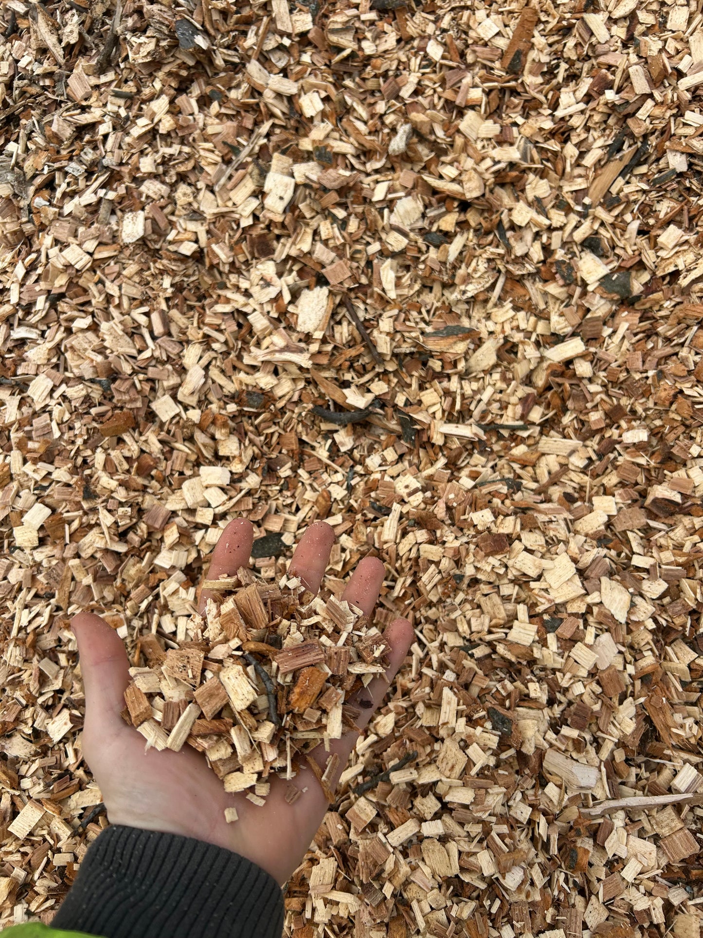 Woodchips