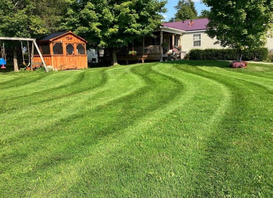 Lawn Mowing